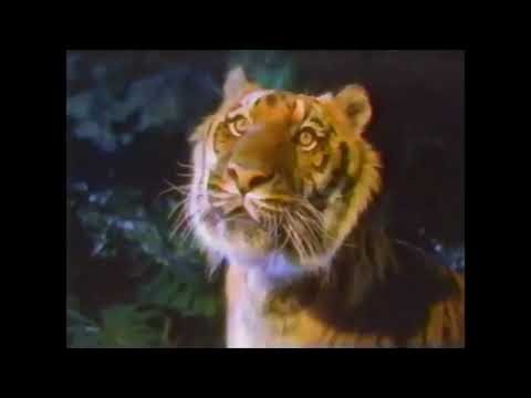 Exxon Save The Tigers Ad (1999)