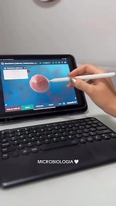 8K reactions · 917 shares | Bacteria 3D App  #microbiology #microbiologist #microbiologylab #explorepage #bacteriology #microbe #science #molecularbiology #kesfet #virology #biology #lab #animation #knowledge #know #fact #application #3d #phd #laboratory #phdstudent #mikrobiyoloji #microbiologia #bacteria #bakteri #bakterien #bacterias | Medical Microbiologist | Facebook