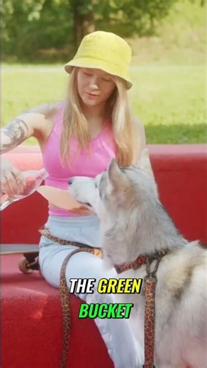 Crypto Portfolio Strategy Green, Yellow, Red Buckets