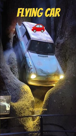 The Flying Car from Harry Potter in Real Life 😱🚗