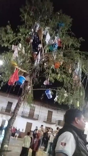 Carnaval de Santa Cruz on Reels