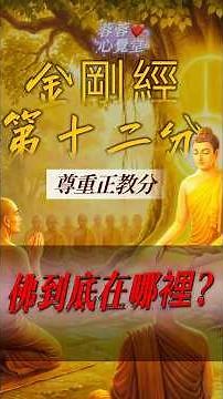 佛在哪裡？金剛經第十二分給了一個震撼答案｜尊重正教分｜蓉蓉心覺堂