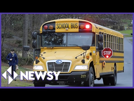 Why School Buses Are Yellow