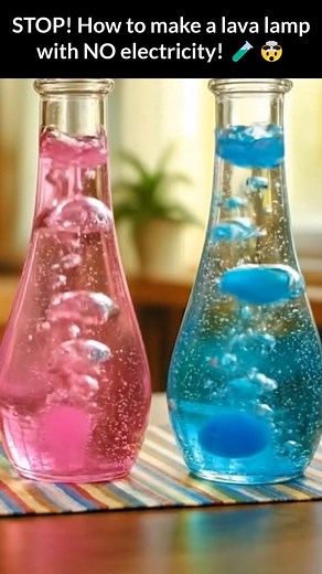Lava Lamp Project Ingredients: - 2 Empty Water Bottles or Gatorade Bottles - Vegetable or Canola Oil - Antacid Tablets (like Alka Seltzer) - Food Coloring (2 colors) - Water Directions: 1. Gather your materials: two empty water bottles or Gatorade bottles, vegetable or canola oil, antacid tablets, food coloring in two different colors, and water. 2. Begin by filling each empty bottle about 3/4 full with vegetable or canola oil. 3. Carefully fill the remaining space in each bottle with water, lea