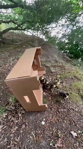 1.6M views · 46K reactions | Dramatische Szenen eben mitten in der...