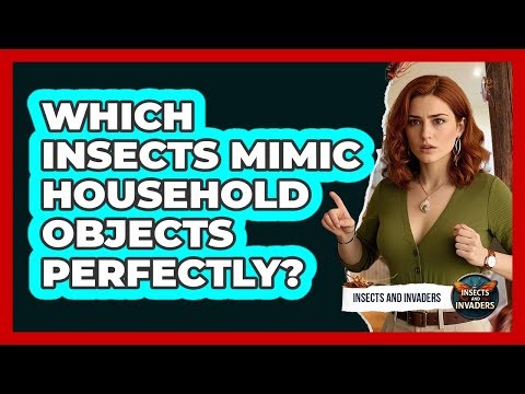 Which Insects Mimic Household Objects Perfectly? - Insects and Invaders