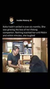 14K views · 61K reactions | Koko hadn’t smiled in over six months....