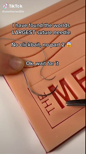 Exploring the World's Largest Suture Needle