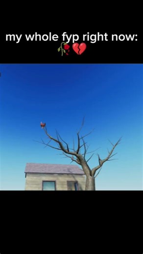 screaming chicken meme