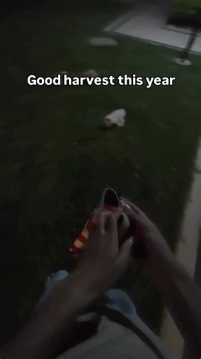 @furreal_whimsy on Instagram: "日本利用压电瓷砖将脚步转化为电能。这些瓷砖捕捉来自你脚步的动能。当你行走时，你的重量和动作会对瓷砖产生压力。瓷砖会轻微弯曲，从而产生机械应力。瓷砖内部的压电材料将这种应力转化为电能。每一步都会产生少量电荷，而数百万步结合在一起就能产生足够的电力来驱动 LED 灯、数字显示屏和传感器。在像涩谷车站这样繁忙的地方，每天大约有 240 万个脚步为这一系统作出贡献。这些电能可以被储存或立即使用，从而减少对传统电力来源的依赖，并支持可持续的城市基础设施。这种方法将日常运动转化为实用的可再生能源 #日本 #知识 #事实 #你知道吗 #推荐 #科技 #创新 #历史 #技术 #实验 #热门"