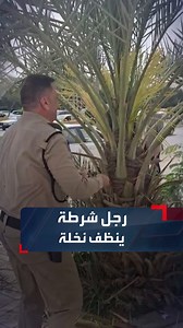 أثناء واجبه.. رجل شرطة في #النجف يقوم بتنظيف وتلقيح نخلة بالشارع.. #الحدث_العراقي | Al Hadath Iraq الحدث العراقي