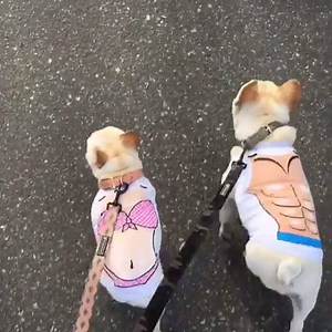 Power couple 💪🏻💪🏻 | boohoo.com