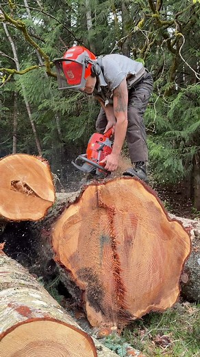 #logger #firewood #husqvarna #splittingaxe #buckin | logger