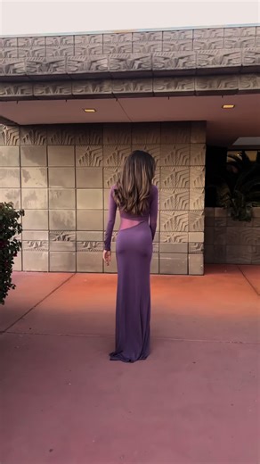 Ballet Arizona 2026 Gala ✨ #ballet #ballerina #balletcore #dancer