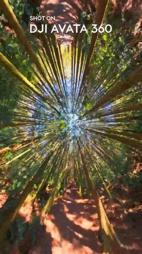 DJI AVATA360 Flagship 8K 360-degree Drone #djiavata360 #drone #360
