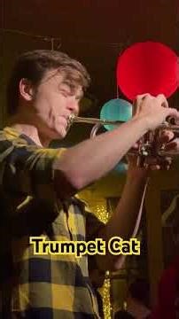 For more Amsterdam Cats, follow our Kringsessions Channel