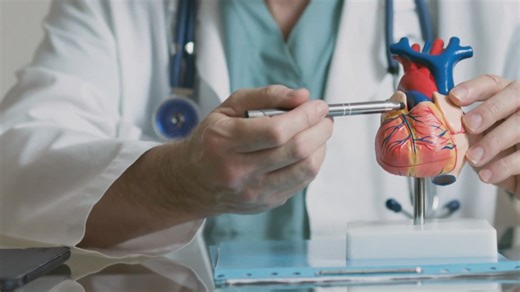 What to know about the new cholesterol screening guidelines to prevent heart disease