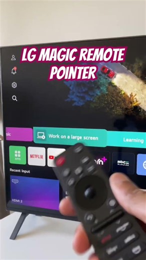 LG Magic Remote Pointer