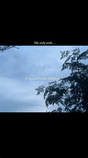 Mera Dil Ye Pukare Aaja | One-Sided Love Aesthetic Lyrics Status | Story Feeling #sad#onesided #tren