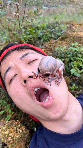 Survival Skills: simple and very usefull #survivalskills