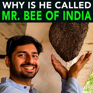 Meet this person who's passionate about bee conservation. His initiative 'Bee-The Lead' has reached thousands with the message that bees are to be loved and not feared. Follow https://www.instagram.com/anujramatri to know about more EcoFreaks. Join EcoFreaks Group: https://www.facebook.com/groups/theecofreaks/ | Anuj Ramatri