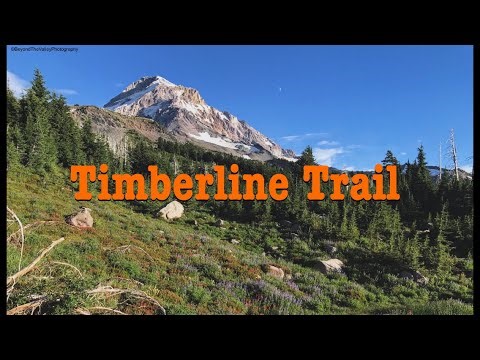 Hiking The Timberline Trail #6 - Mountain in the Sky
