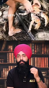 he Mighty Coconut Crab: Uncovering its Amazing Abilities 🦀🌴#CoconutCrab #LandCrabs #WildlifeWonders | Jot Tv Media