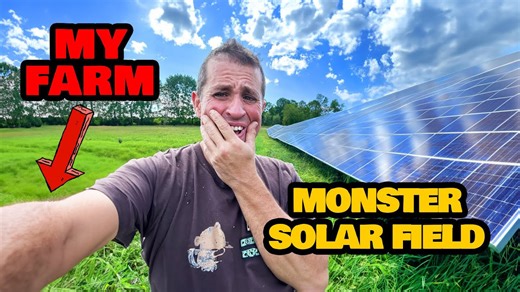 Can You Make Maple Syrup from a Single Tree?