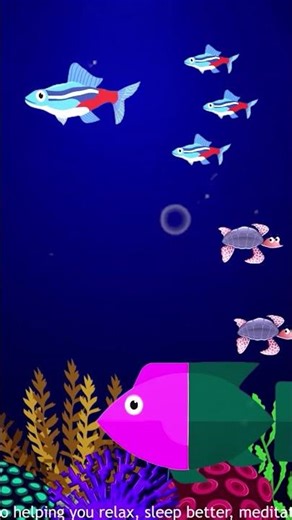 Deep Calm Baby Sleep 😴 Mozart & Brahms Gentle Bedtime Music 🌙