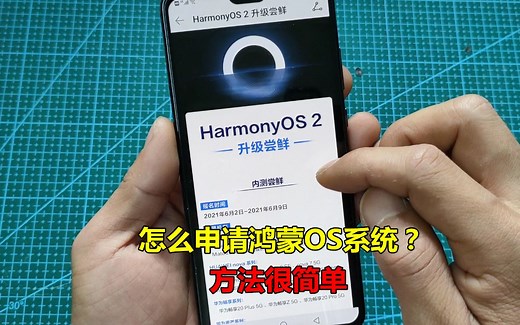 华为手机怎么申请鸿蒙OS系统？方法很简单，详细教你升级步骤
