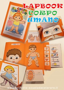 Lapbook CORPO UMANO