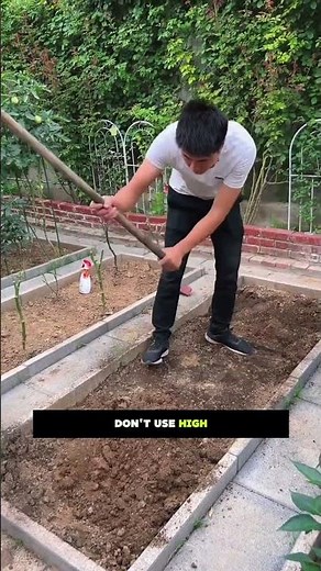 **"How to Grow Garlic Easily at Home 🧄🌱 | Simple Step-by-Step Guide!"**|| #gardening #garlic