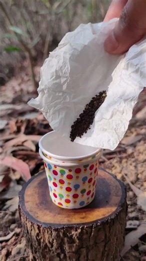 Bushcraft survival skills for extreme conditions🌲