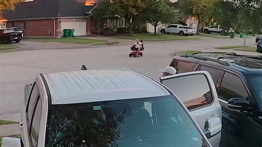 Quick update for the neighborhood—tonight the same individual who has been letting his dogs run off leash rode by my house just to call me an asshole and tell me to move. I told him to have a nice day, and he came back around the cul-de-sac just to call me a piece of shit and say it again. I didn’t engage. This behavior is unacceptable. Everyone deserves respect in their own neighborhood. Praying for him.
