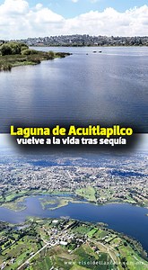 🌊 Tras años en los que fue casi polvo y grietas, la laguna de #Acuitlapilco, el último cuerpo natural de agua en Tlaxcala, volvió a llenarse y recuperar vida gracias a las #lluvias y al esfuerzo comunitario. 🦆🌱 Hoy, aves y peces regresaron, y el lugar volvió a ser punto de convivencia para #vecinos y visitantes. Sin embargo, la amenaza de la #contaminación y el azolve aún pone en riesgo su futuro. Descubre qué acciones se realizan para rescatar este sitio que guarda memoria cultural y natural