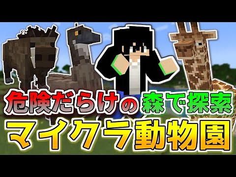 【マイクラ】マイクラ動物園が復活！野生の動物を探しに森へ探索に行こう！【マインクラフトで動物園を作ろう！2#4】