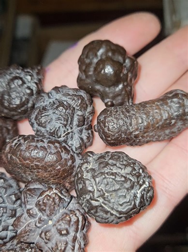 Behold! prophecy stones from the white desert of Egypt