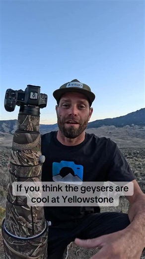 I know most people come for the geyser’s but what about all these beautiful animals that live here as well. #cinematography #wildlifephotography #nature #naturecinematography | Matt Tramontana