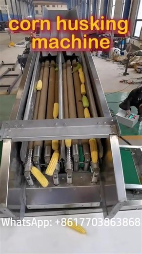 How Corn Husking Machine Works | Corn Processing