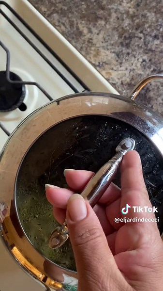 Cooking with Verdolagas: How to Prepare Delicious Dishes