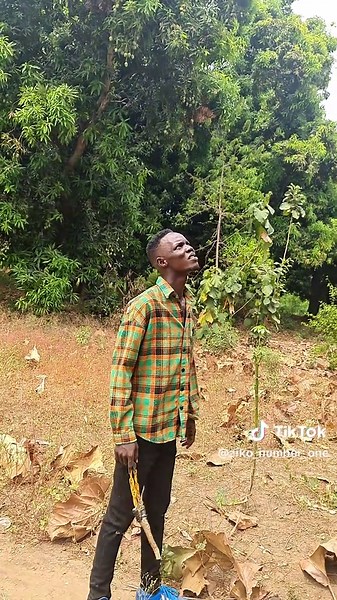 Jena Ta Jube: The Rise of Ziko Comedy