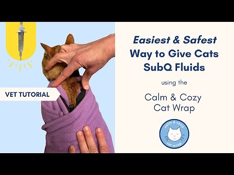 Vet Demonstrates Easiest and Safest Way to Give Cats SubQ Fluids Using The Calm & Cozy Cat Wrap