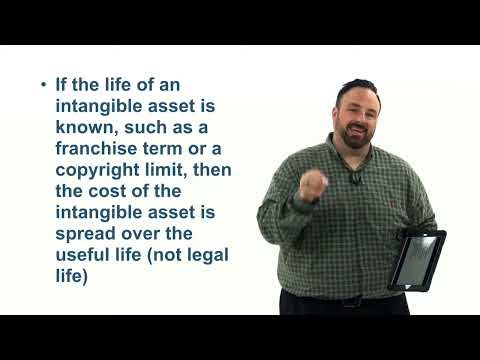 Patents & Goodwill (Intangible Assets)