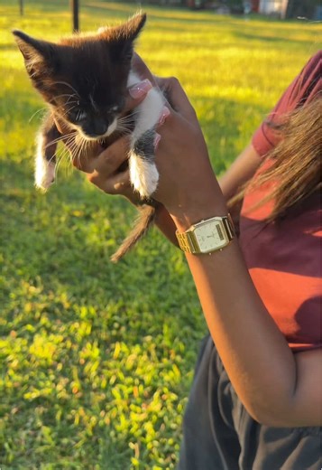 Exploring the Beauty of Mauritius Island