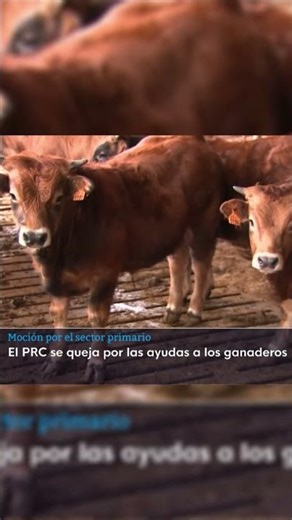 SECTOR PRIMARIO: El PP de #Cantabria no ayuda a ganaderos, agricultores y pescadores