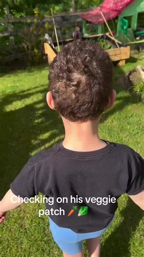 Alexander, just checking on his little veggie patch 🌱🥕 He’s so proud of everything he’s growing — carrots, lettuce, onions, potatoes, cucumber, strawberries, raspberries, corn, tomatoes… all his hard work starting to come to life 🤍 Getting little ones involved in growing their own food feels so important to me. It’s not just about where food comes from… it’s the patience, the care, the routine. And for him, it’s more than that — it’s calm, it’s focus, it’s his little happy place and a the out