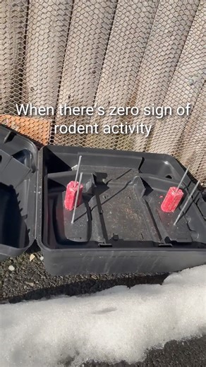 When there’s zero sign of rodent activity 😌🐀 As temps drop, rodents start looking for food and shelter. Our year-round pest control plan helps keep them from getting comfortable in and around your home – and our technician is clearly happy about it. https://bit.ly/4dQOMIe #HomePestControl #PestControl #HomeCare #RodentControl #WinterTips #Rats #Mice | Western Pest Services