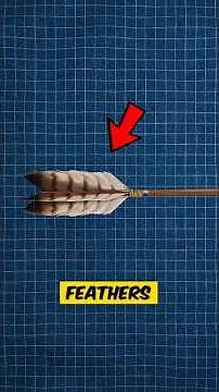 🏹 Why Do Arrows Need Feathers to Fly Straight?