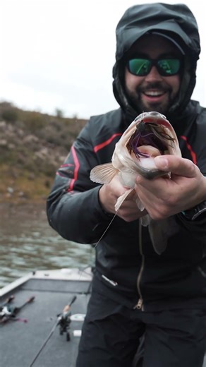 PICADA JIG bajo la LLUVIA