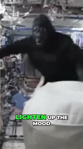 Astronaut's Epic Prank: Gorilla Suit in Space! 😂 #shorts